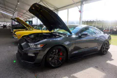 fm-five-fav-mecum-kissimme-26-fords-gallery706-www.fordmuscle.com