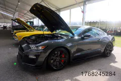 fm-five-fav-mecum-kissimme-26-fords-gallery706-www.fordmuscle.com