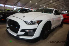fm-five-fav-mecum-kissimme-26-fords-gallery810-www.fordmuscle.com
