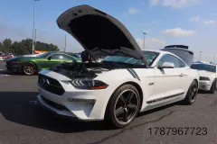FM-MWNC-All-Ford-Cruise-In_Gallery842