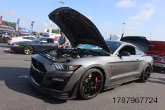 FM-MWNC-All-Ford-Cruise-In_Gallery850