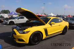 FM-MWNC-All-Ford-Cruise-In_Gallery887