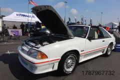 FM-MWNC-All-Ford-Cruise-In_Gallery906