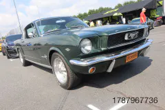 FM-MWNC-All-Ford-Cruise-In_Gallery932