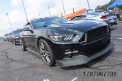 FM-MWNC-All-Ford-Cruise-In_Gallery937
