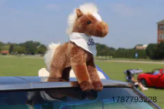 FM-MWNC-Mustang-Week-Games1104
