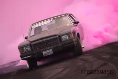 3D8A1319