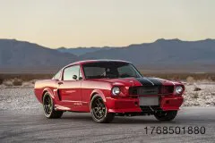 10-fm-trick-rides-shelby-gt350tr-gallery-www.fordmuscle.com