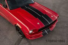 11-fm-trick-rides-shelby-gt350tr-gallery-www.fordmuscle.com