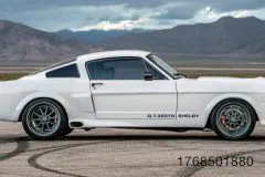 14-fm-trick-rides-shelby-gt350tr-gallery-www.fordmuscle.com