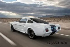 5-fm-trick-rides-shelby-gt350tr-gallery-www.fordmuscle.com