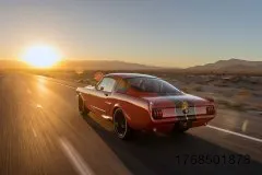 6-fm-trick-rides-shelby-gt350tr-gallery-www.fordmuscle.com