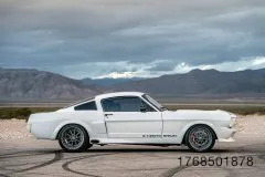 9-fm-trick-rides-shelby-gt350tr-gallery-www.fordmuscle.com